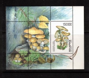 Belarus Sc 320a MNH of 1999 - Mushrooms - FH02
