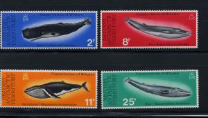 British Antarctic Territory Scott 64-67 MNH! Humpback Whale!