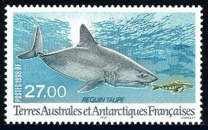 FSAT TAAF 242, MNH. Mole Shark, 1998