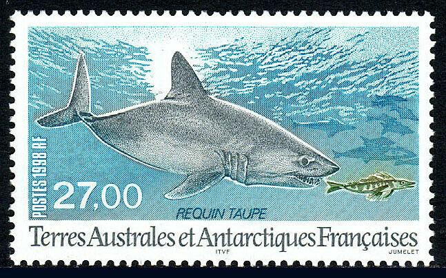 FSAT TAAF 242, MNH. Mole Shark, 1998