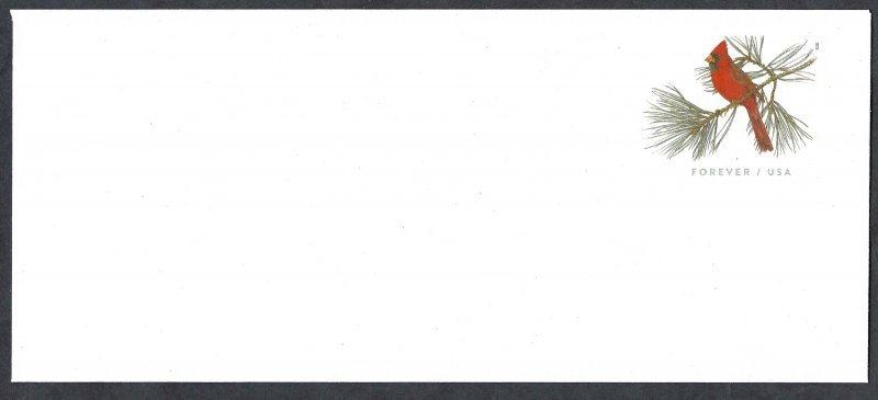 United States #U702 Forever (66¢) Northern Cardinal (2023). #9 envelope. Mint