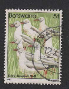 Botswana 307 Birds 1982