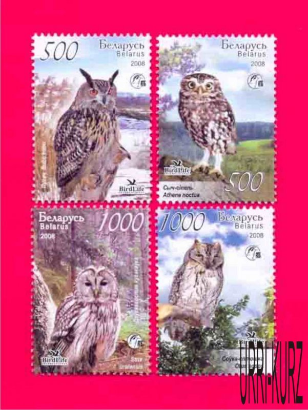 BELARUS 2008 Nature Fauna Predatory Birds of Prey Owls 4v Mi750-753 MNH