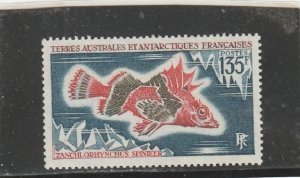 French Southern and Antarctic Territories  Scott#  44  MNH  (1971 Horsefish)