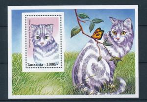 [26554] Tanzania 1996  British shorthair cat MNH  Souvenir Sheet