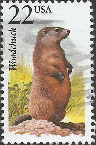 # 2307 USED WOODCHUCK