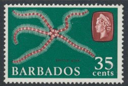 Barbados  SG 352 SC# 277a  Brittle Star   Marine Life MNH see scan