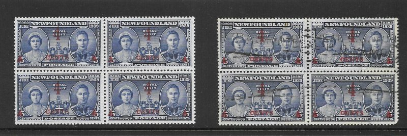 Newfoundland Mint + Very Scarce Used Blocks - #251