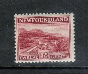 Newfoundland #141 Very Fine Never Hinged