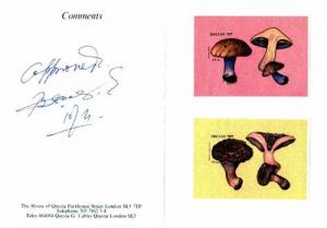 Bhutan 1989 Fungi - 25nu (Lepista saeva) & 25nu (Hydn...