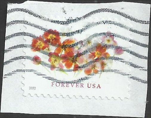 Tulips 2022, Discounted Forever Stamps