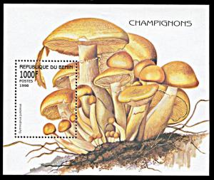 Benin 1061, MNH, Mushroom souvenir sheet