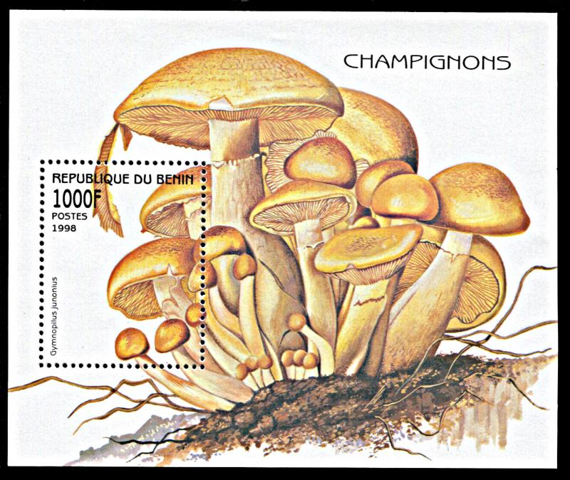 Benin 1061, MNH, Mushroom souvenir sheet