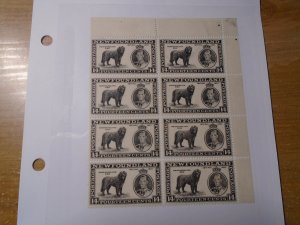 Newfoundland  #  238/i/vi/vii/ix  re-entry # 10/20/30/40  Block of 8  MH margin