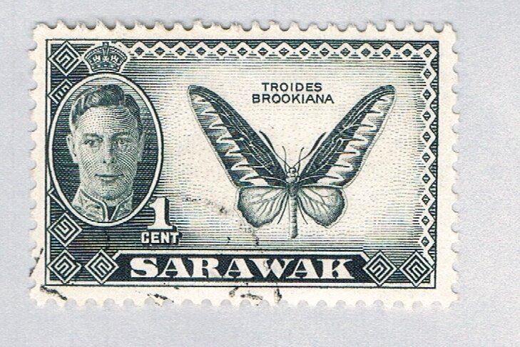 Sarawak Butterfly grey 1c (AP136120)