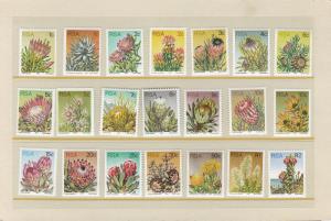 South Africa 1972 Proteas National Flower of South Africa Complete (17)+Perf 14