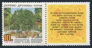 Russia 3712-label two stamps, MNH. Michel 3742. Friendship Tree, Sochi, 1970.