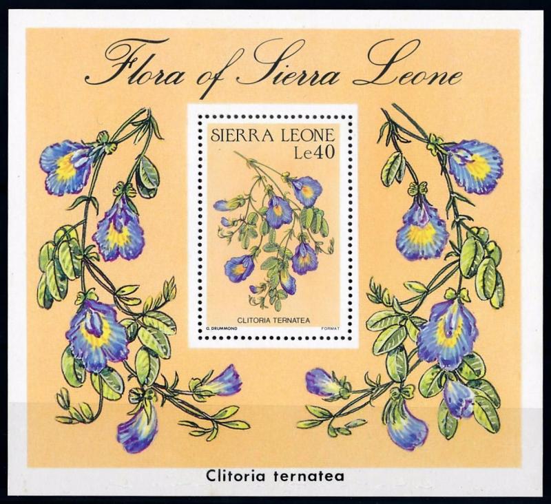 [67123] Sierra Leone 1986 Flora Flowers Blumen Blossom Bluten Sheet MNH