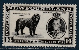 Canada  / Newfoundland    238  (N**)    1937