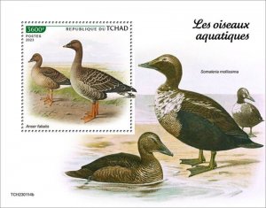 Chad - 2023 Water Birds, Bean Goose - Stamp Souvenir Sheet - TCH230114b