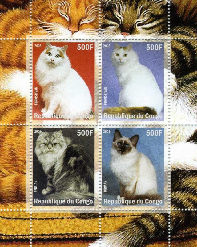Congo 2008 Domestic Cats Sheet (4) Perforated mnh.vf