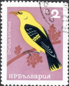 Bulgaria 1396 - Cto - 2s European Golden Oriole (1965)