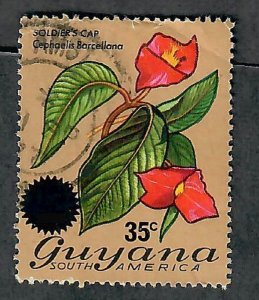 Guyana #234 used single