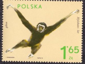 Poland 1892 1972 MNH