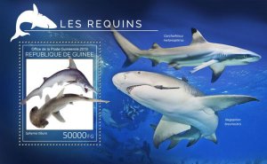 Guinea 2019 MNH Marine Animals Stamps Sharks Bonnethead Shark 1v S/S