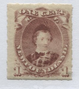 Newfoundland QV 1877 1 cent brown lilac mint o.g. hinged