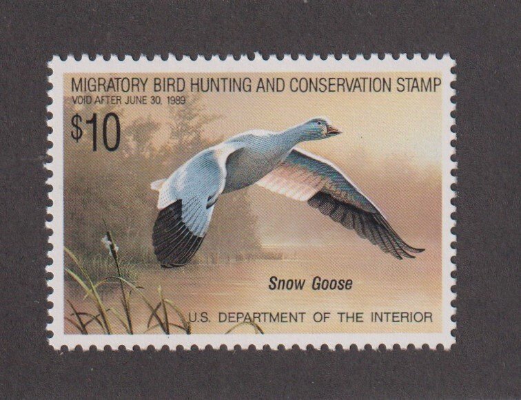 US Sc #RW55 MNH Federal Duck Hunting Stamp (S30471)