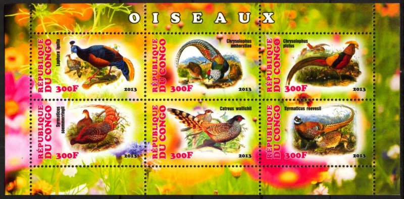 Congo 2013 Paradise Birds (6) MNH Cinderella !