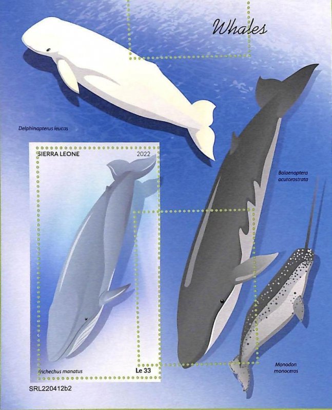 A9346 - SAW LION - MISPERF ERROR Stamp Sheet - 2022 - Whales, Marine Life-