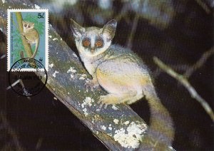 Tanzania 1989 Maxicard Sc #468 5sh Lesser bushbaby WWF