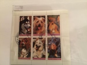 Household Domestic Dog Breeds stamps Sheet R23523