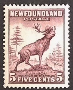 Newfoundland 190 VF MH