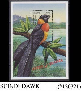 UGANDA - 1999 ENDEMIC BIRDS / BIRDS OF UGANDA MIN/SHT MNH