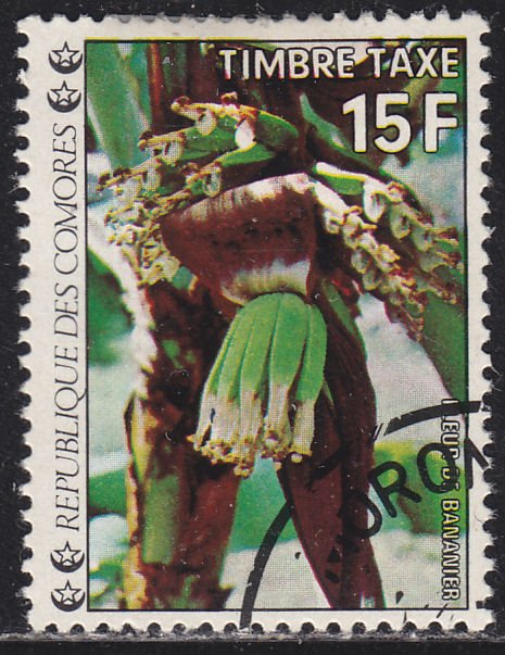 Comoro Islands J10 Flowers 1977