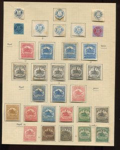 115+ WELLS, FARGO AND CO. REFERENCE LOT WITH MANY BETTER FORGERY STAMPS L5010E