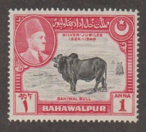 Bahawalpur 25 Sahiwal bull - MH