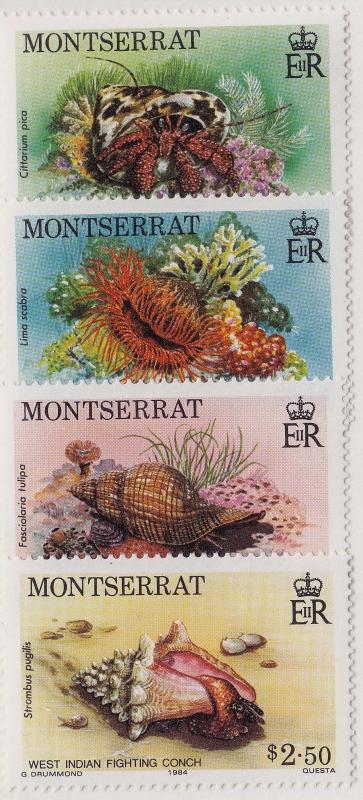 MONTSERRAT MNH Scott # 543-546 Marine Life (4 Stamps)