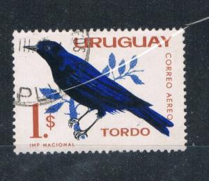 Uruguay #C258 Used Glossy Cowbird (U0248)