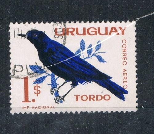 Uruguay #C258 Used Glossy Cowbird (U0248)