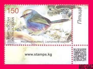 KYRGYZSTAN 2020 Nature Fauna Bird of Year White-Browed Tit-Warbler 1v Mi KEP159