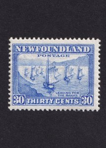 Newfoundland, Scott 198, Mint LH, F-VF