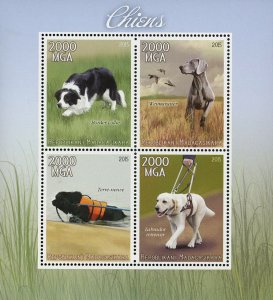 Domestic Animal Border Collie Dog Pet Souvenir Sheet of 4 Stamps Mint NH