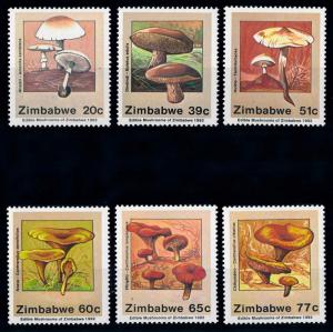 [68881] Zimbabwe 1992 Mushrooms Pilze Champignons  MNH