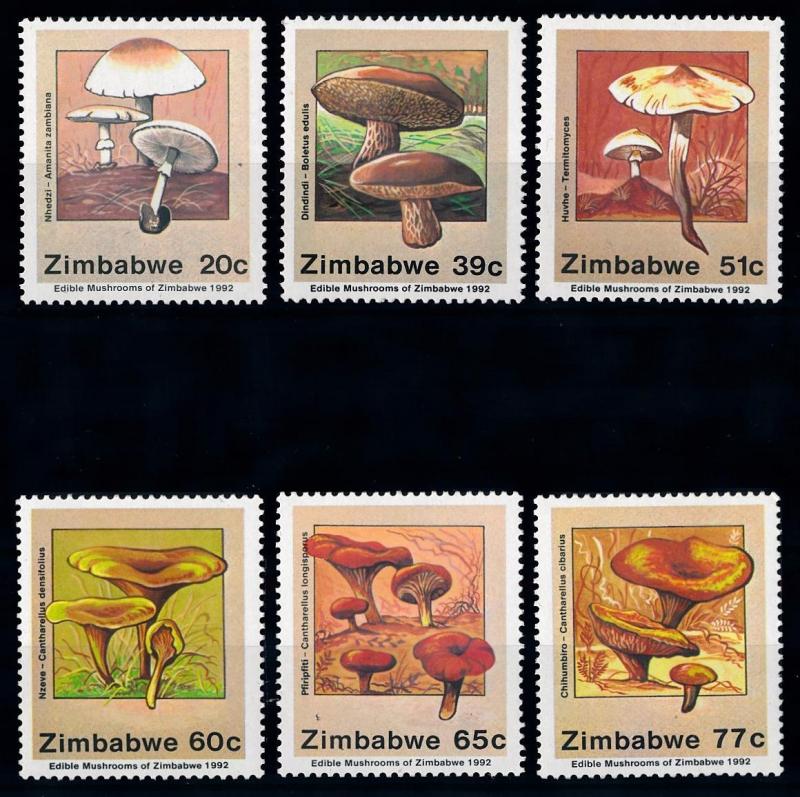 [68881] Zimbabwe 1992 Mushrooms Pilze Champignons  MNH