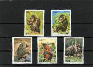 BENIN 1996 Sc#755-759 WILD ANIMALS/MONKEYS SET OF 5 STAMPS MNH 