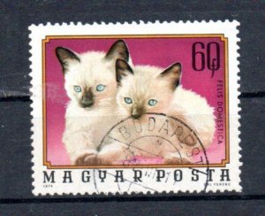 HUNGARY - 1974 - CATS - Used - 60 Ft -